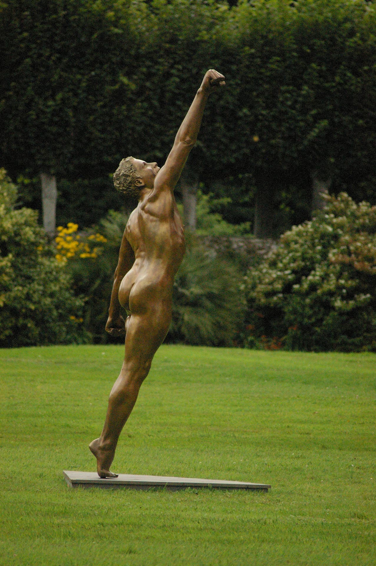 Joie-Bronze-Roger-Vene-285cm-2